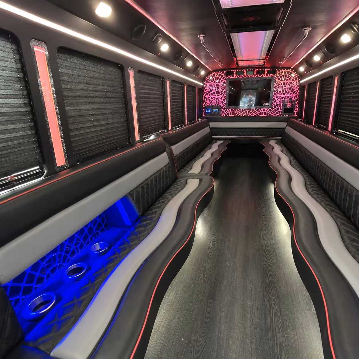 20 passenger party bus inside