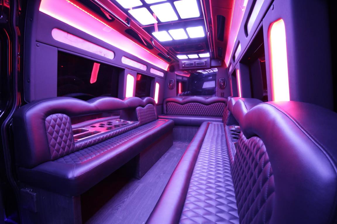 15 passenger sprinter van interior